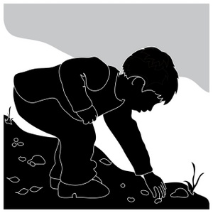 little boy reaching down to pick up bugs from the ground